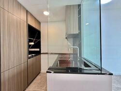 Irwell Hill Residences (D9), Apartment #483001191